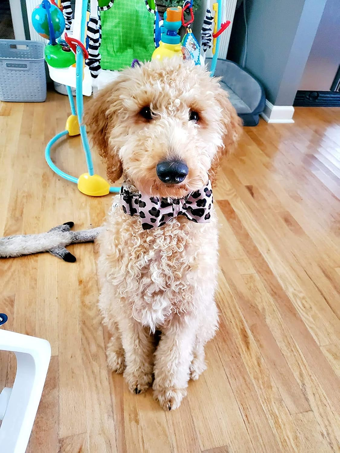 Cotton Dog Collar with Bowtei, Leopard Bowtie Dog Collars, Adjustable Heavy Duty Girl Dog Collar with Bow for Small Puppy Dogs