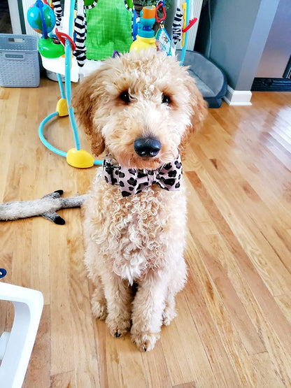 Cotton Dog Collar with Bowtei, Leopard Bowtie Dog Collars, Adjustable Heavy Duty Girl Dog Collar with Bow for Small Puppy Dogs