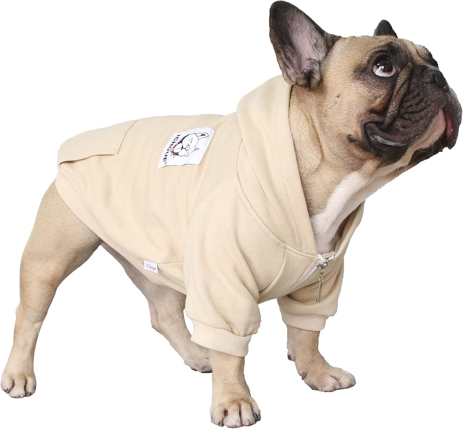 Stylish Khaki Hoodies for French Bulldogs, Pugs, English Bulldogs, Boston Terriers, Pitbulls, and Corgis - XLarge Sweatshirt for Ultimate Comfort