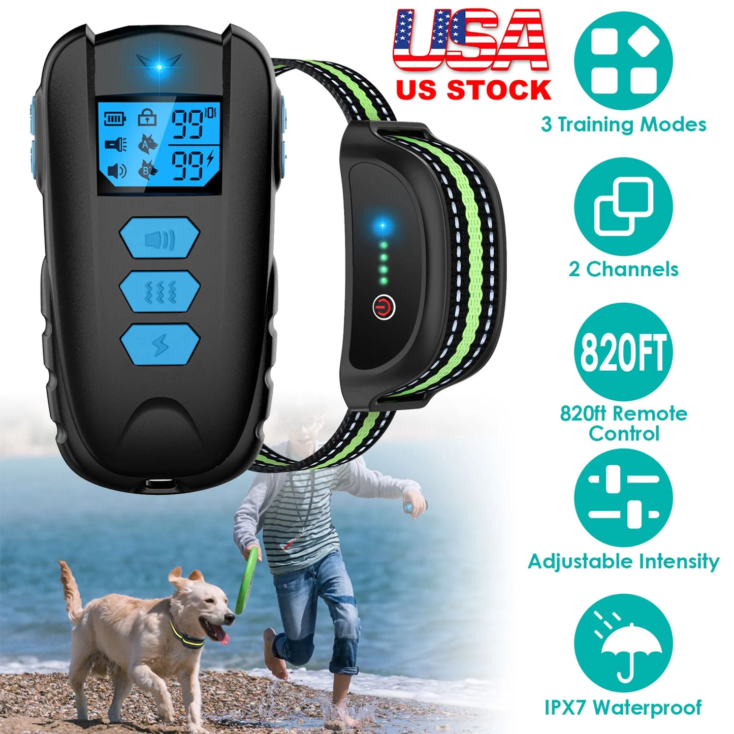 Dog Training Collar