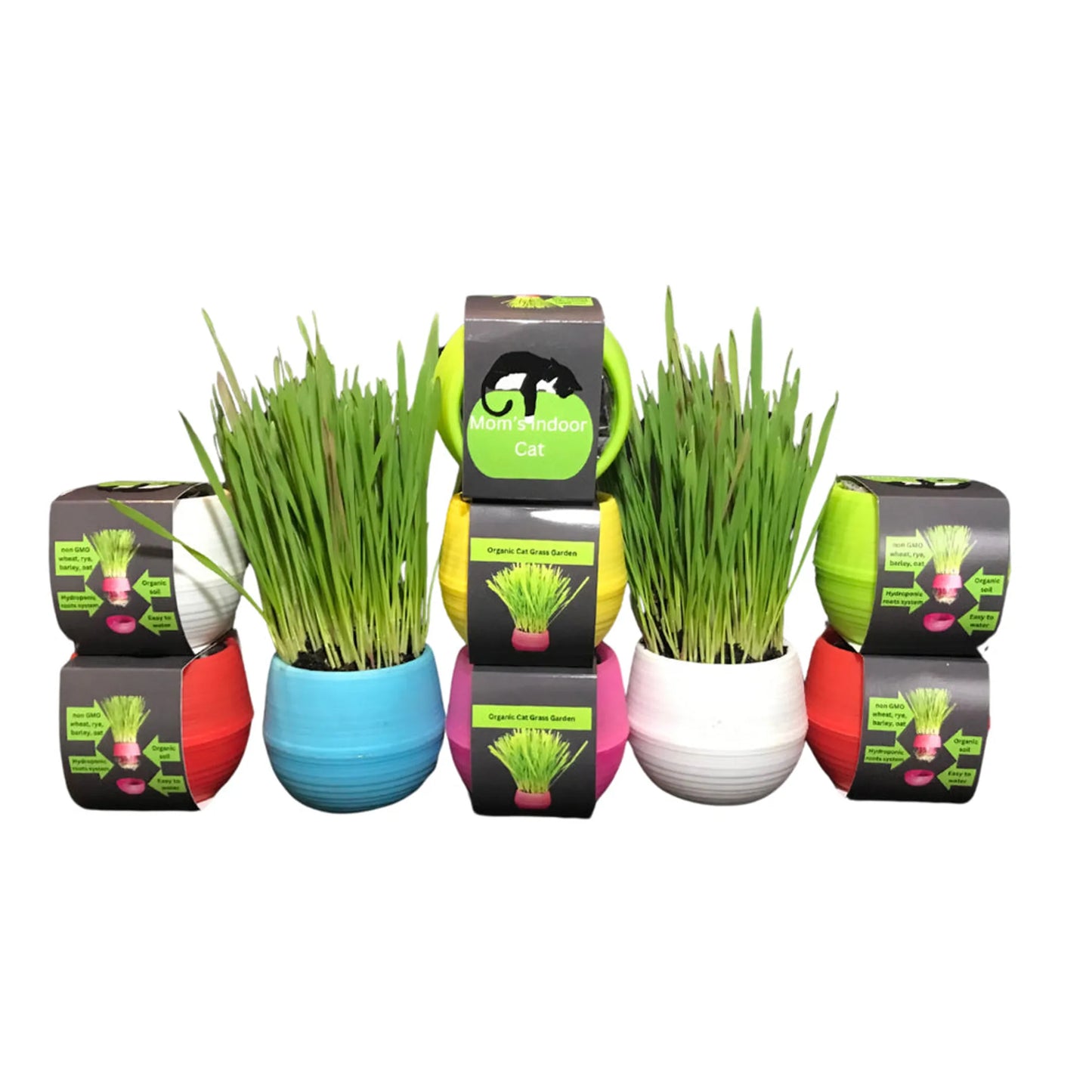 Cat Grass Balls