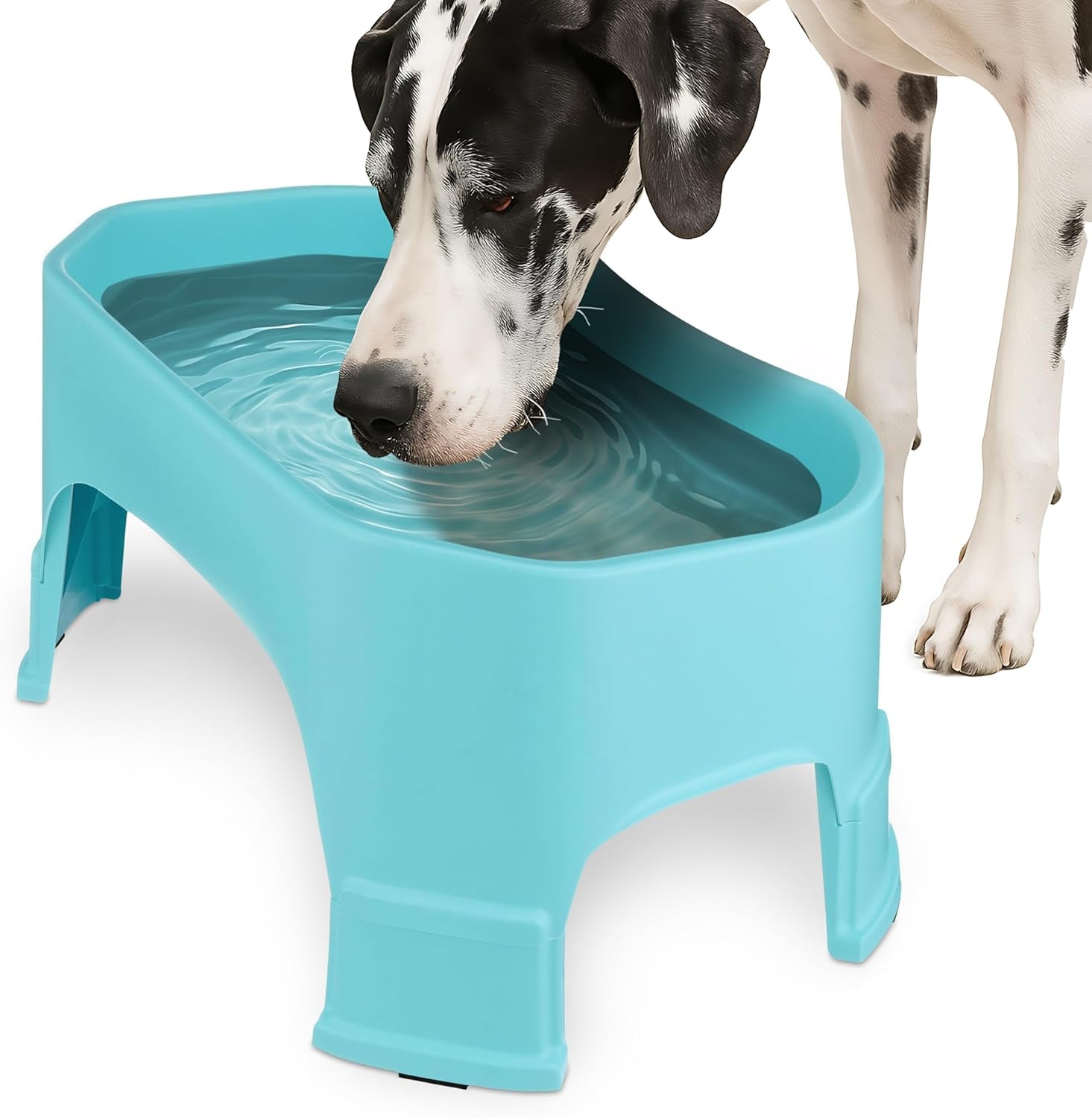 Extra Large Water Bowl for Dogs, Elevated Outdoor Dog Water Bowl (2.25 Gallon XL Capacity), Big Trough Style Food Dish for Indoors or Outside, No Spill Large Dog Bowls, Aquamarine