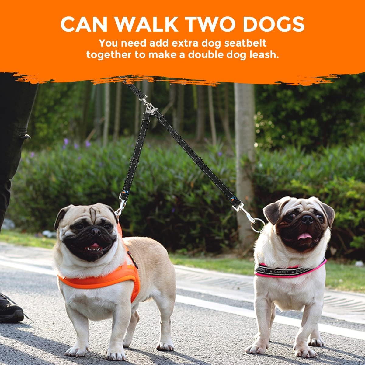 Heavy-Duty 6 FT Reflective Bungee Dog Leash for Large, Medium, and Small Dogs with Nylon Seatbelt Set (Black)
