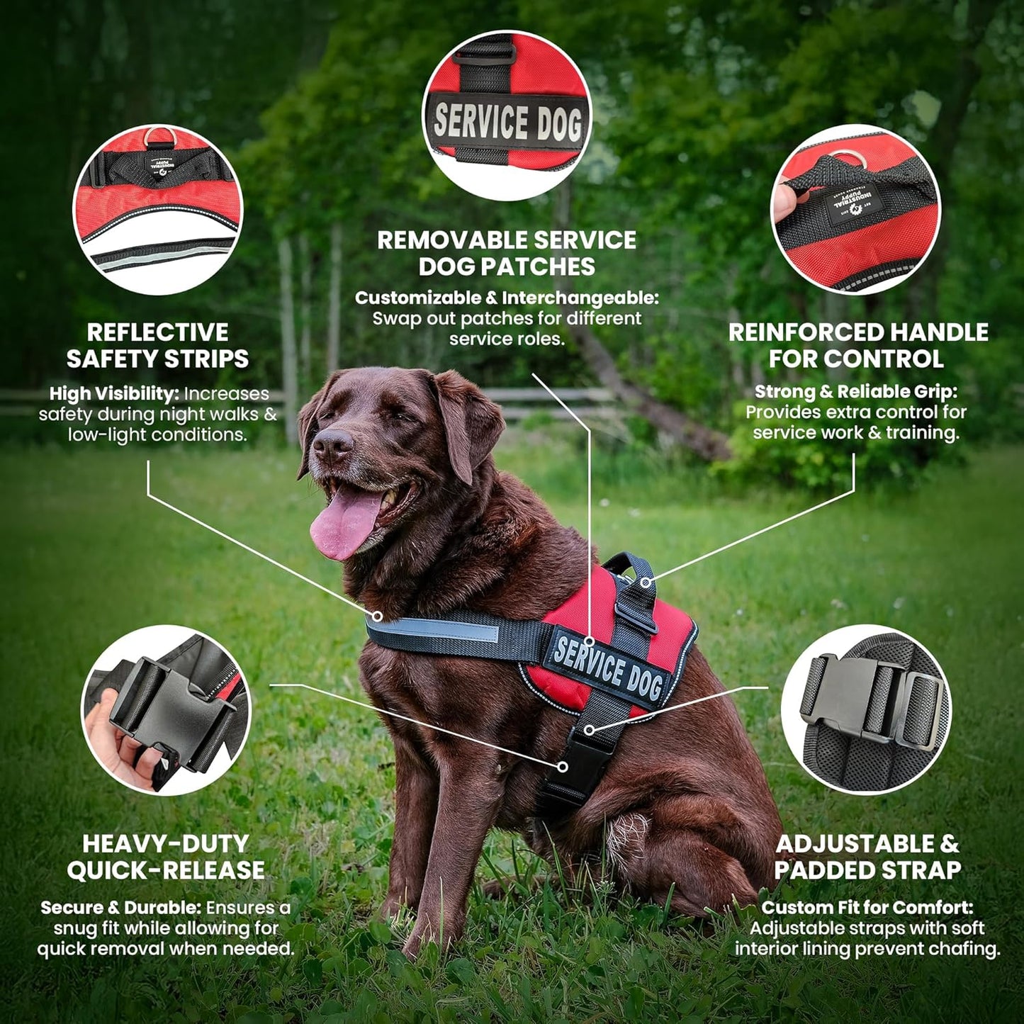 Professional Service Dog Vest and Leash Set with Adjustable Hook and Loop Straps - Available in Sizes XXS to XXL - Features Reflective Patch and Breathable Mesh Design (Black, XXS)
