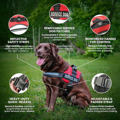 Professional Service Dog Vest and Leash Set with Adjustable Hook and Loop Straps - Available in Sizes XXS to XXL - Features Reflective Patch and Breathable Mesh Design (Black, XXS)