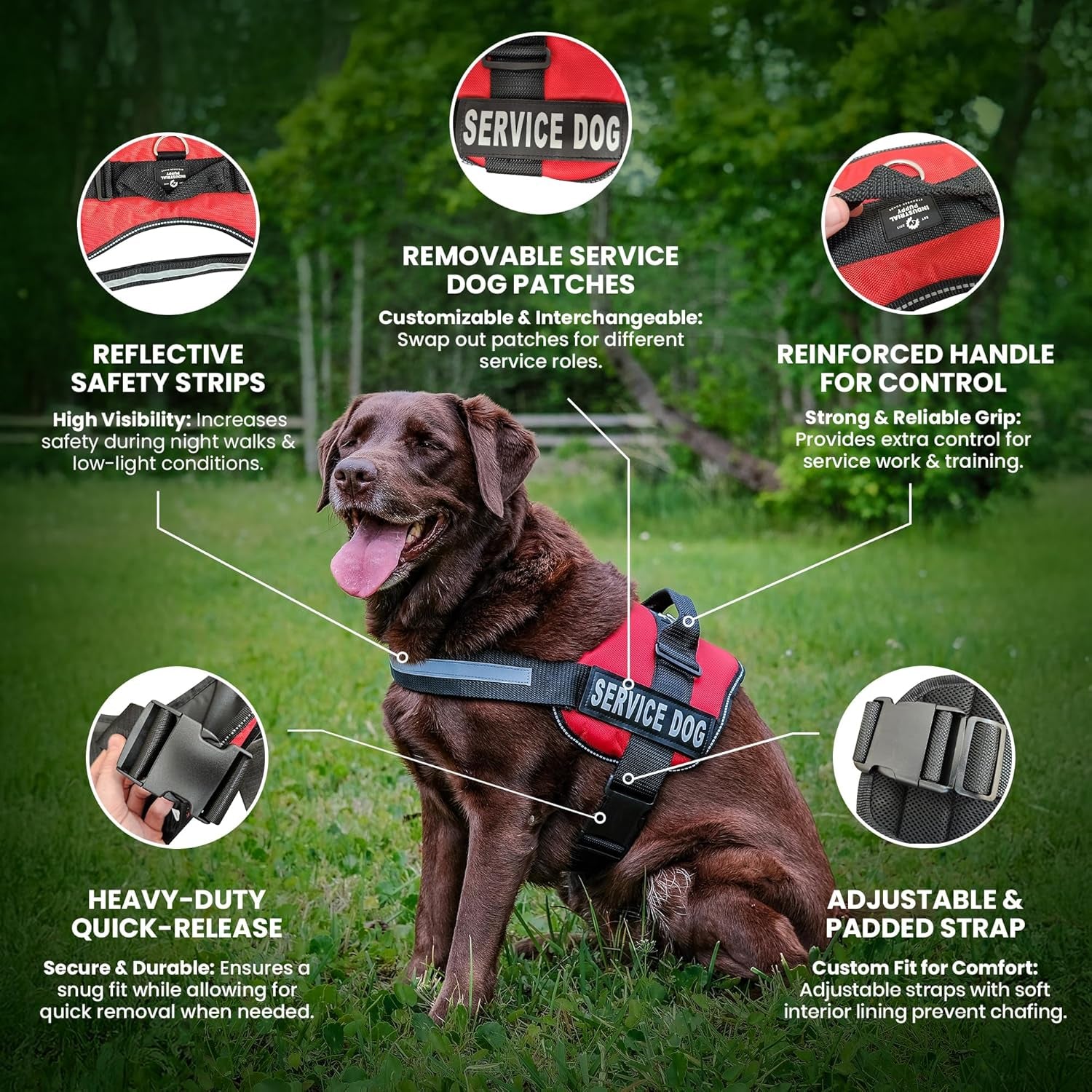 Service Dog Harness with Adjustable Hook and Loop Straps and Handle - Available in 8 Sizes from XXXS to XXL - Features Reflective Patch and Comfortable Mesh Design in Bright Red