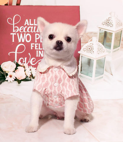 Adorable Pink Valentine's Day Dog Sweater Dress - Cozy & Chic for Small to Medium Female Dogs (Size S)