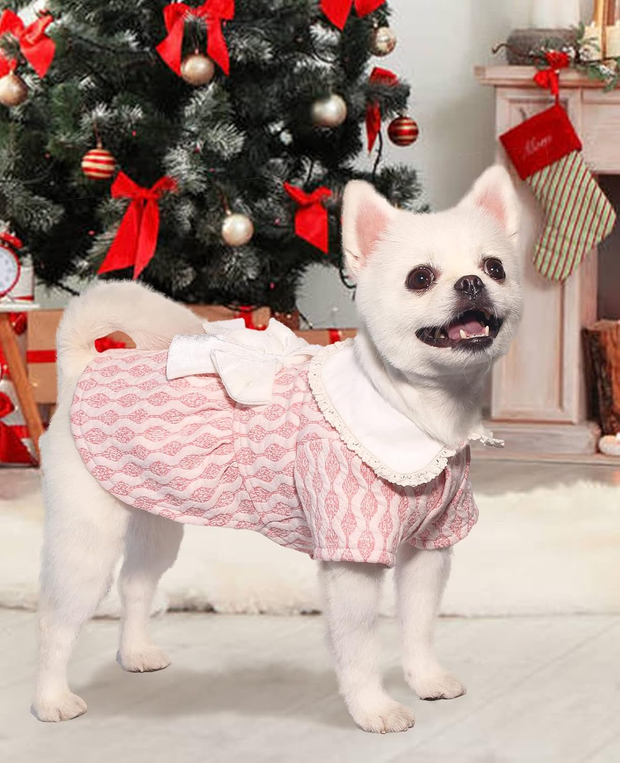 Adorable Pink Valentine's Day Dog Sweater Dress - Cozy & Chic for Small to Medium Female Dogs (Size S)