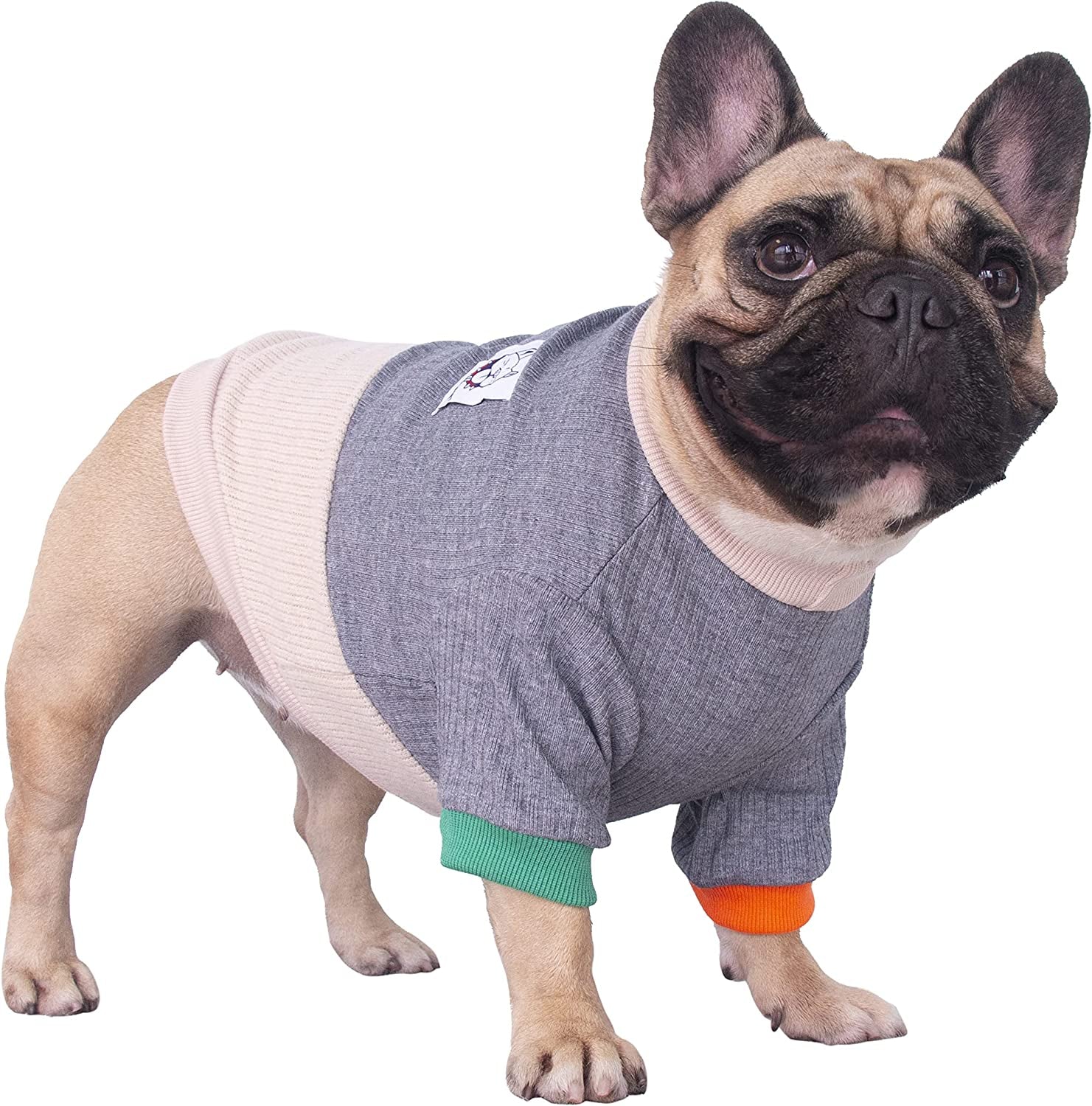 Stylish Grey and Yellow Color Block Crewneck Sweater for Dogs - Cozy Winter Pullover for English Bulldogs and Pitbulls, X-Large