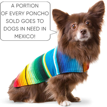 Stylish Handcrafted Dog Poncho - Authentic Mexican Blanket in Blue, XXS