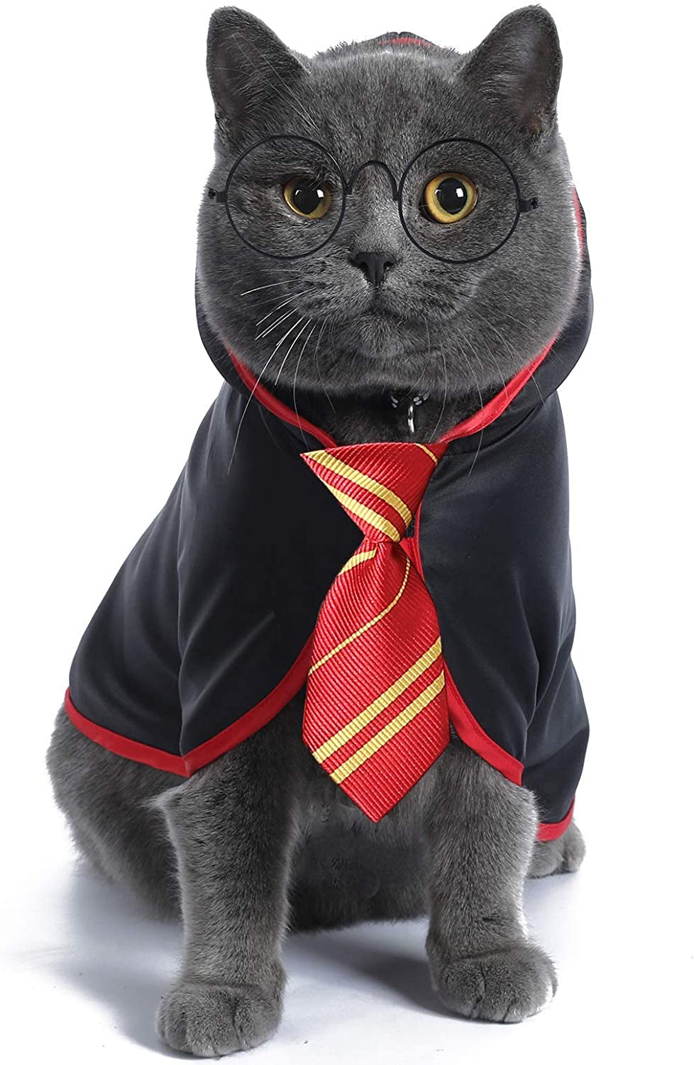 Adorable Anime Cat Halloween Costume for Small Dogs & Kittens - Wizard Outfit in Red (Size S)