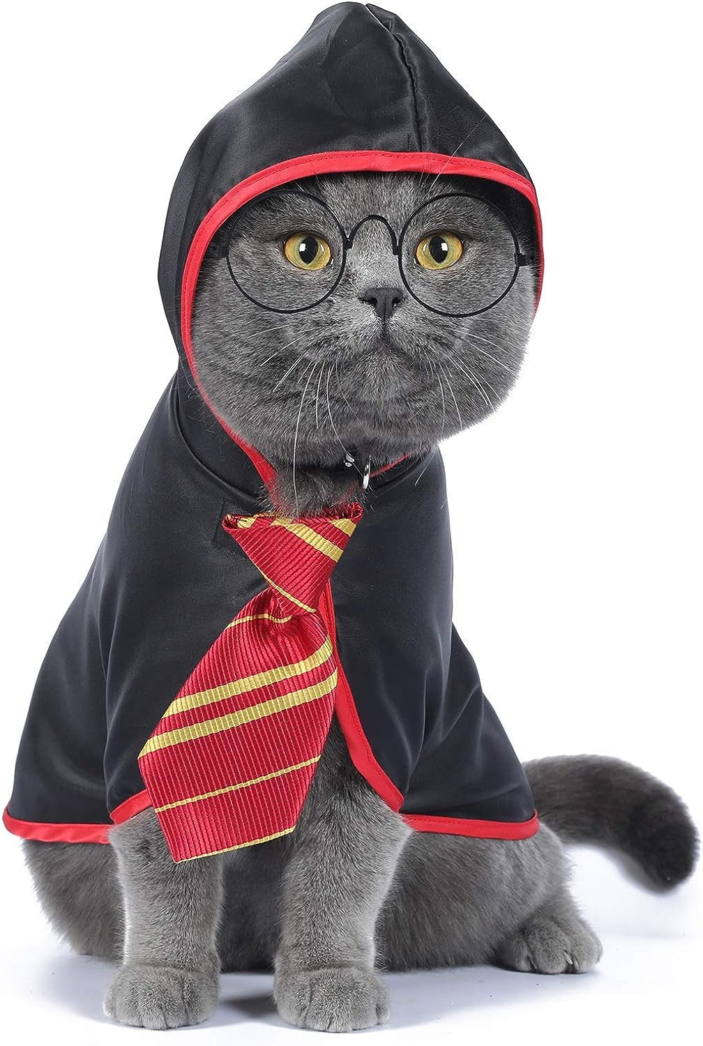 Adorable Anime Cat Halloween Costume for Small Dogs & Kittens - Wizard Outfit in Red (Size S)