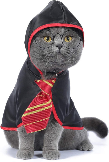 Adorable Anime Cat Halloween Costume for Small Dogs & Kittens - Wizard Outfit in Red (Size S)