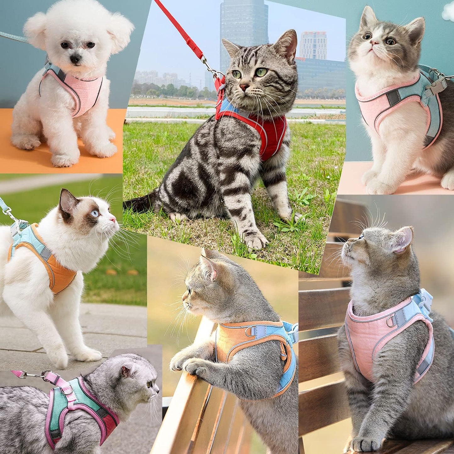 Cat Harness, Leash, and Collar Set - Escape-Proof Vest for Safe Walking with Reflective Strap and Bell, Suitable for Kittens, Puppies, and Rabbits