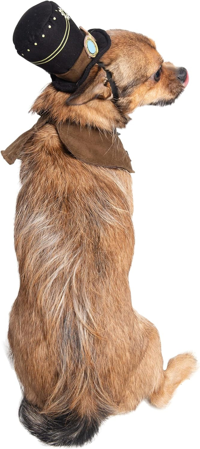 Steampunk-Inspired Costume Hat and Collar Set for Small Dogs and Cats - Perfect for Halloween, Christmas, Parties, Photoshoots, and Gifts for Pet Lovers