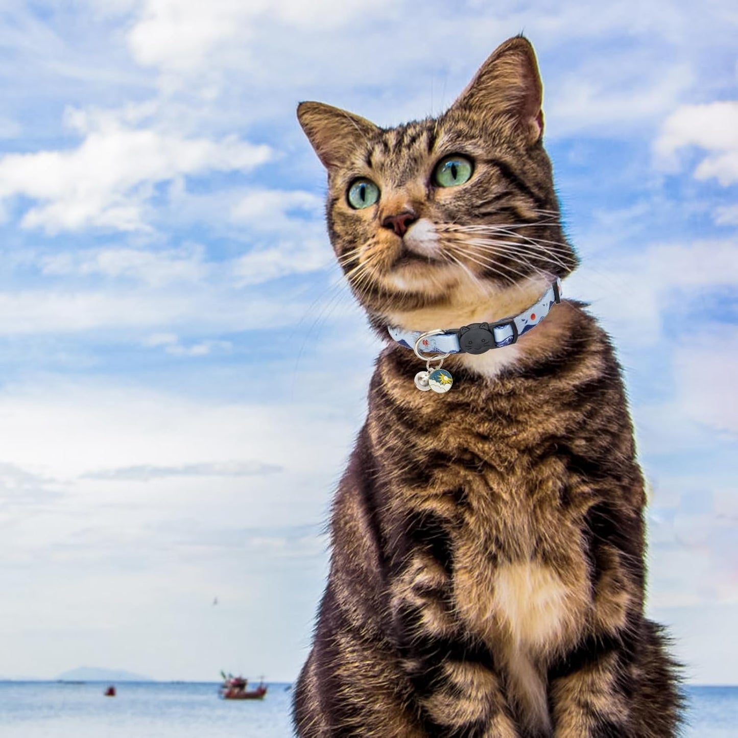 Adjustable Breakaway Cat Collars with Bell - 3 Pack Safety Collars for Male and Female Cats, Ideal for Daily Use