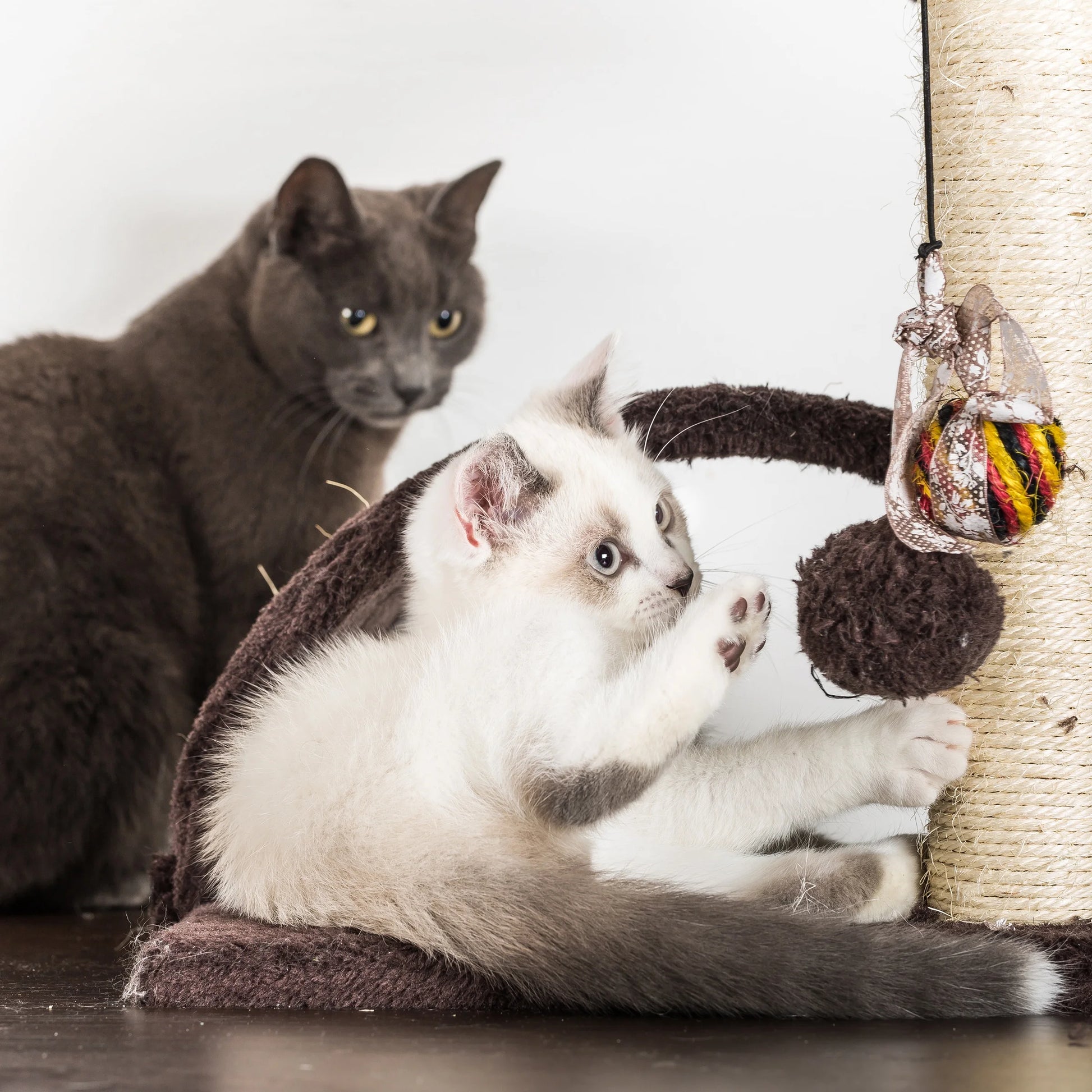 35-Inch Cat Tree with Ladder, House, Scratching Posts, and Toy - Brown