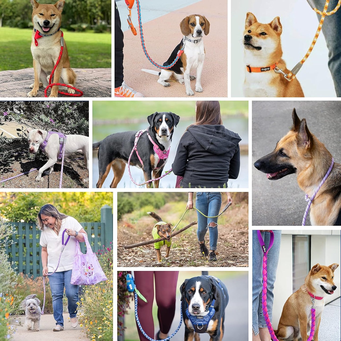 Durable Diagonal Striped Dog Training Leash Set with Comfortable Neoprene Handle, Pink, 6 Ft