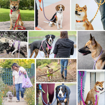Durable Diagonal Striped Dog Training Leash Set with Comfortable Neoprene Handle, Pink, 6 Ft
