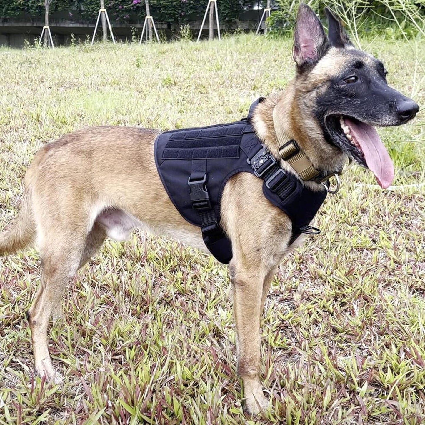 Tactical Dog Harness, X-Large Size,2X Metal Buckle,Working Dog MOLLE Vest with Handle,No Pulling Front Leash Clip,Hook and Loop Panel (Black,Xl (Pack of 1))
