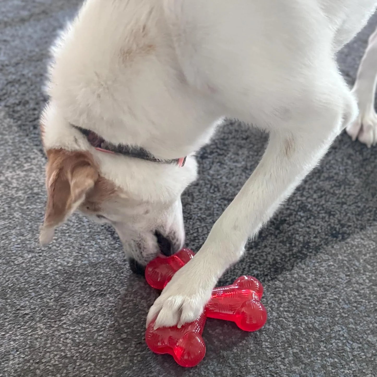 Play Strong Trident Bone Rubber Dog Toy - Y Shape, Durable Chew for Aggressive Chewers with Hollow Center for Treats, 6 Inch