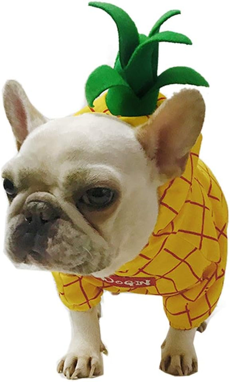 Pineapple-Inspired Dog Costume for Halloween, Christmas, and Special Occasions