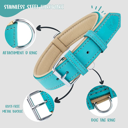 Riparo Genuine Leather Dog Collar for Medium Dogs, 1" Wide (Neck Size 13.5”-17.5”, Aqua)
