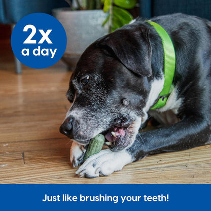 Gray Muzzle Brushless Toothpaste Dental Chews for Large Senior Dogs, Vet Recommended for Effective Plaque, Bacteria, and Tartar Control, 1 Pack