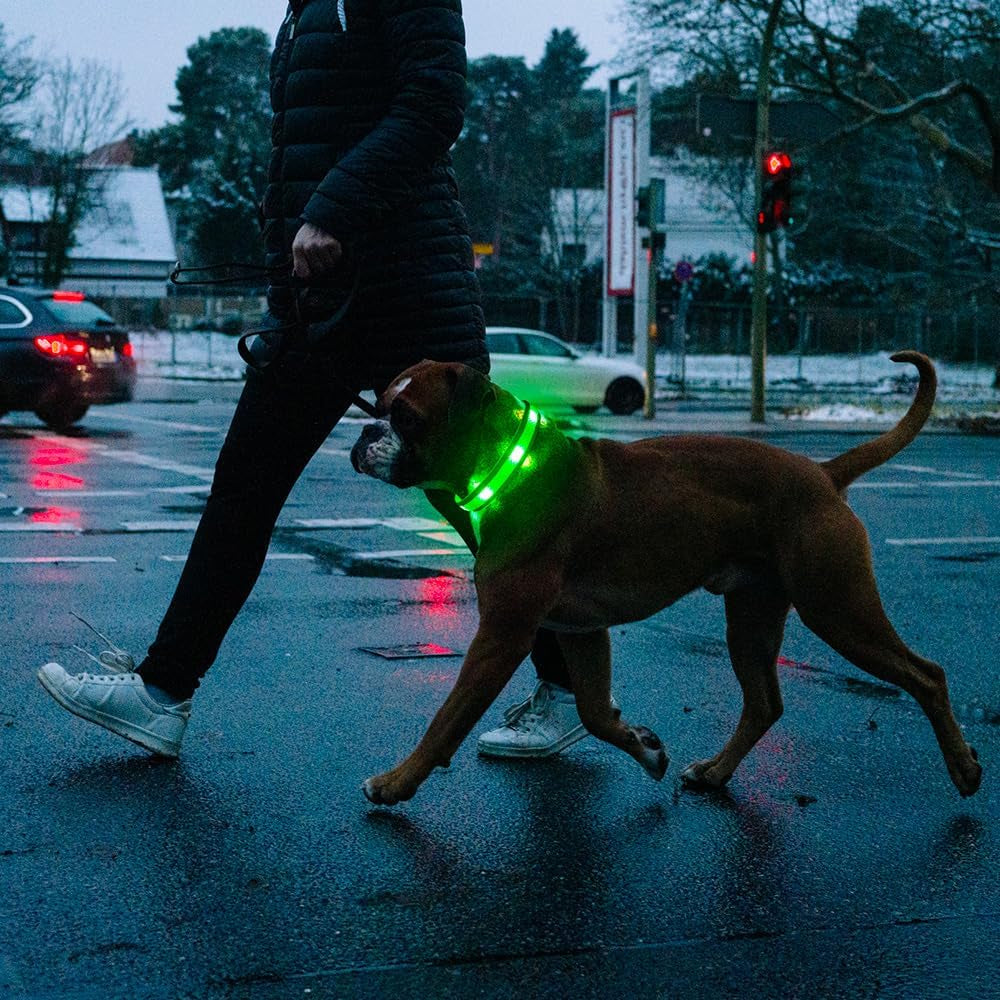 USB Rechargeable LED Dog Collar - High Visibility Glow in the Dark for Night Walking (Small, Fluorescent Green)