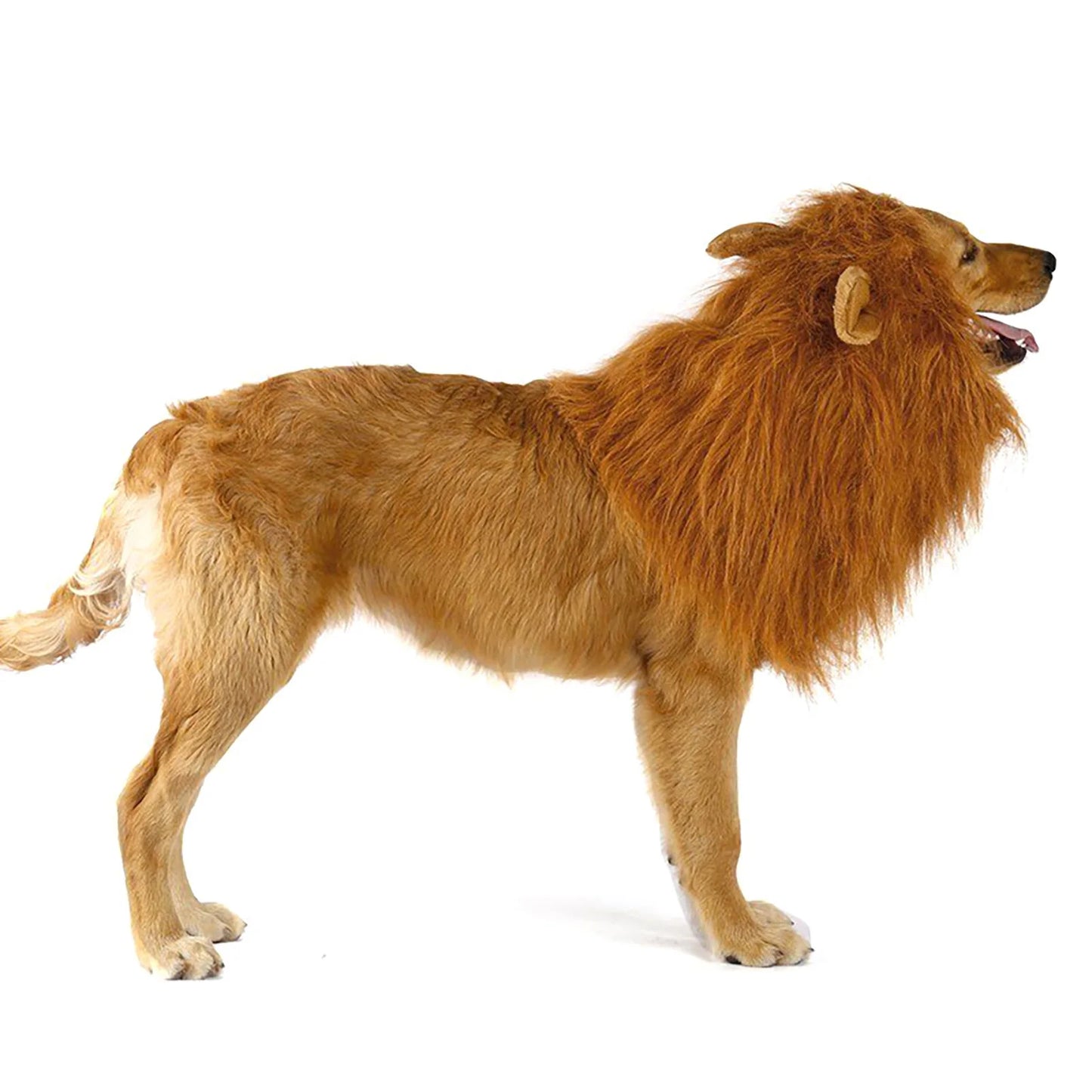 Majestic Lion Mane Cosplay Costume for Medium to Large Dogs - Complete with Ears!