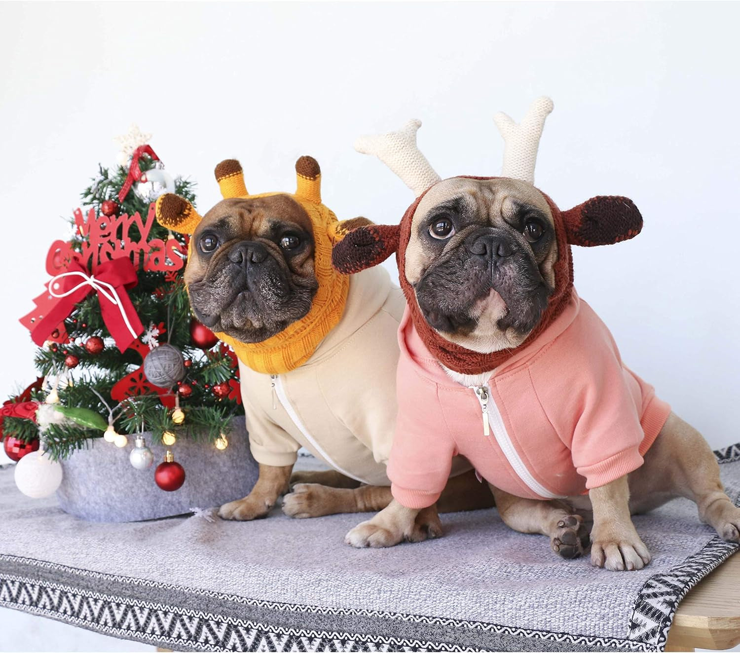 Stylish Khaki Hoodies for French Bulldogs, Pugs, English Bulldogs, Boston Terriers, Pitbulls, and Corgis - XLarge Sweatshirt for Ultimate Comfort