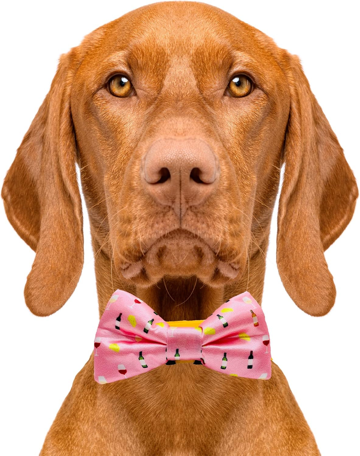 Elegant Premium Dog Bow Tie - Versatile Slip-Over Design for All Breeds, 2" x 4
