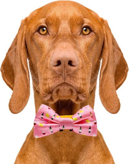 Elegant Premium Dog Bow Tie - Versatile Slip-Over Design for All Breeds, 2" x 4