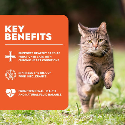 Vet-Formulated Renal Wet Cat Food for Adults, Non-GMO Kidney Care with Lamb Flavor, Made in Italy (3.5 Oz, 32 Pack)