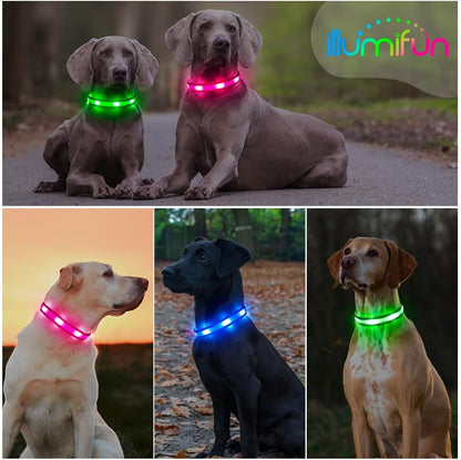 USB Rechargeable LED Dog Collar - High Visibility Glow in the Dark for Night Walking (Small, Fluorescent Green)