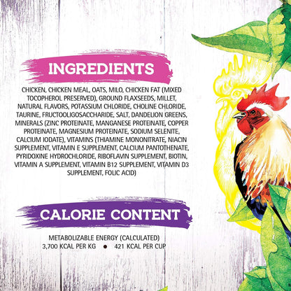 Dry Cat Food with Chicken Recipe – Complete and Balanced Formula – Meat-First, Legume-Free – 4 lb Bag