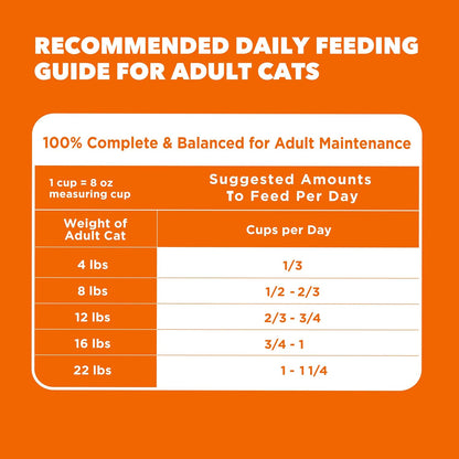 Proactive Health Dry Cat Food, Healthy Cat Food Dry Recipe for Adults, with Chicken 7 Lb. Bag