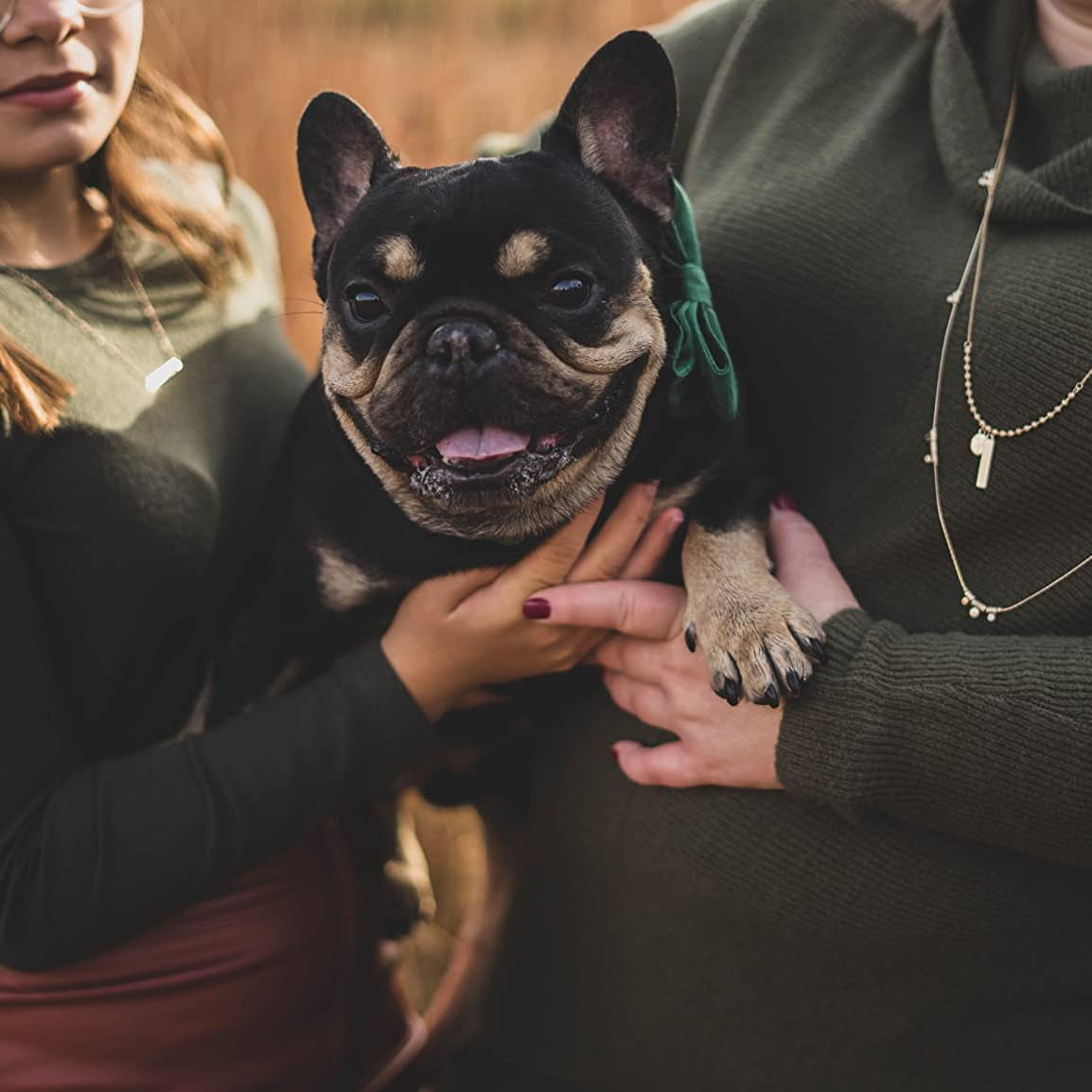 Stylish Green Velvet Christmas Dog Collar with Bowtie - Perfect for Small to Large Dogs