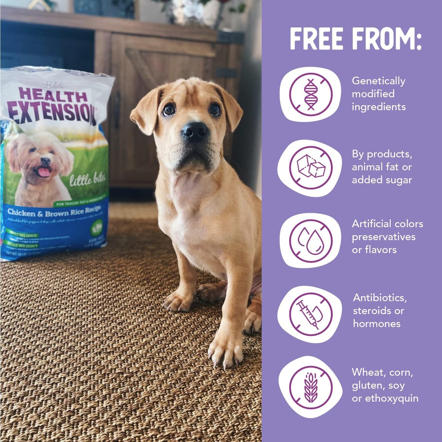 Little Bites Dry Dog Food for Toy and Small Breeds, Chicken & Brown Rice Recipe, with Probiotics & Superfoods for Digestion & Coat Health, 4 Lb Bag