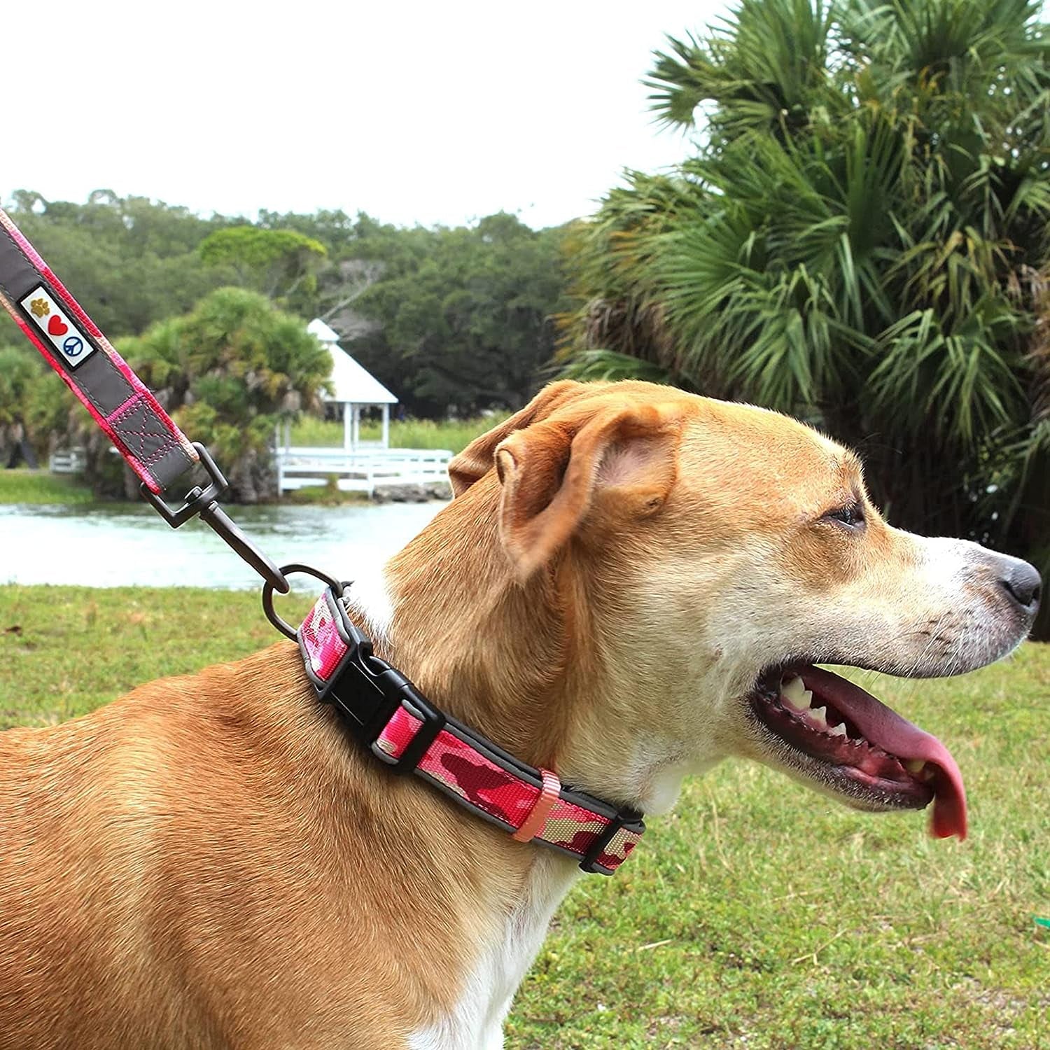 Stylish Camo Green & Black Medium Padded Dog Collar for Ultimate Comfort