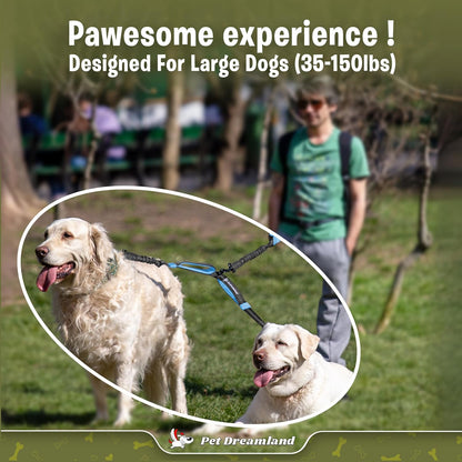 Premium Dual Dog Leash Coupler for Large Dogs with Tangle-Free Swivel - Ensuring Smooth Walks (Grey & Blue)