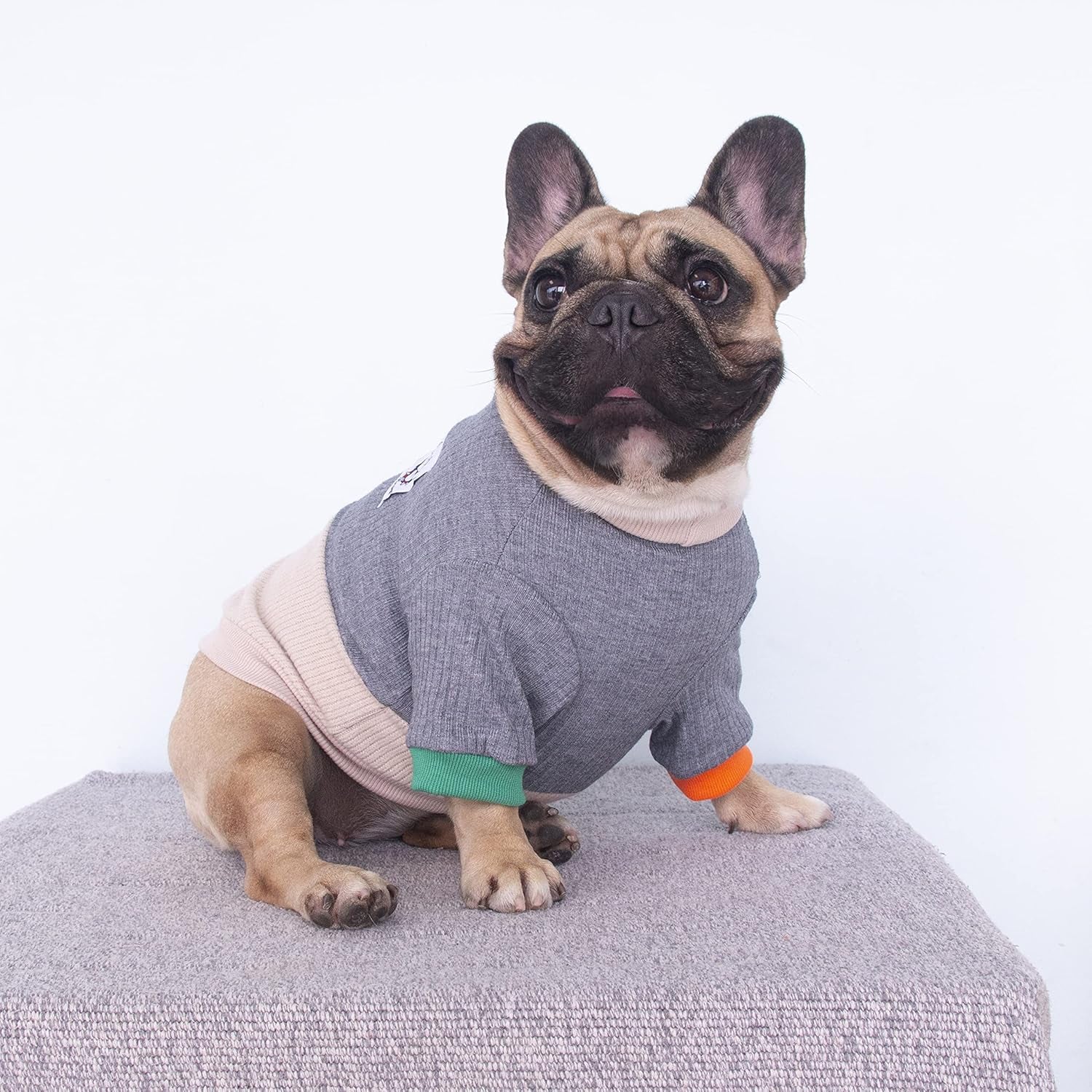 Stylish Grey and Yellow Color Block Crewneck Sweater for Dogs - Cozy Winter Pullover for English Bulldogs and Pitbulls, X-Large