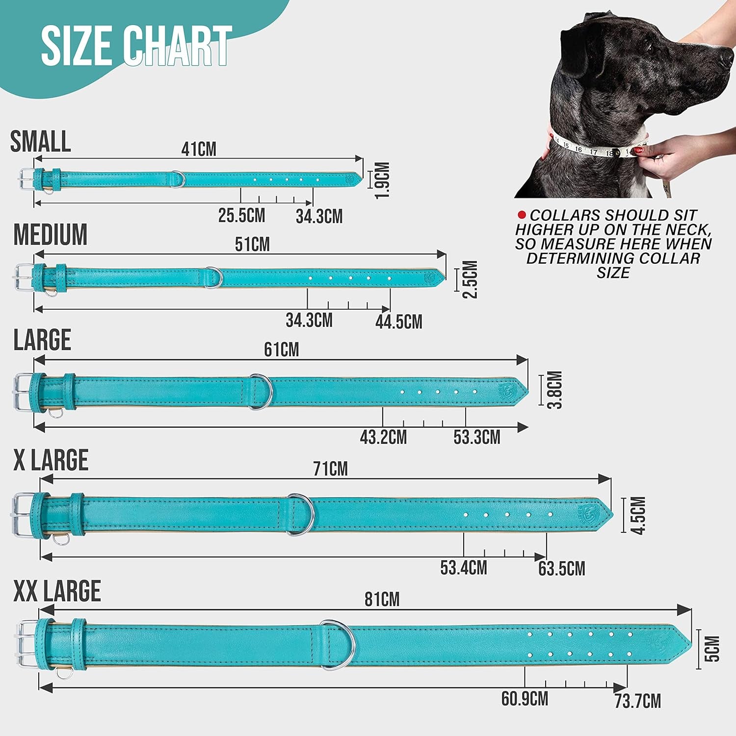 Riparo Genuine Leather Dog Collar for Medium Dogs, 1" Wide (Neck Size 13.5”-17.5”, Aqua)