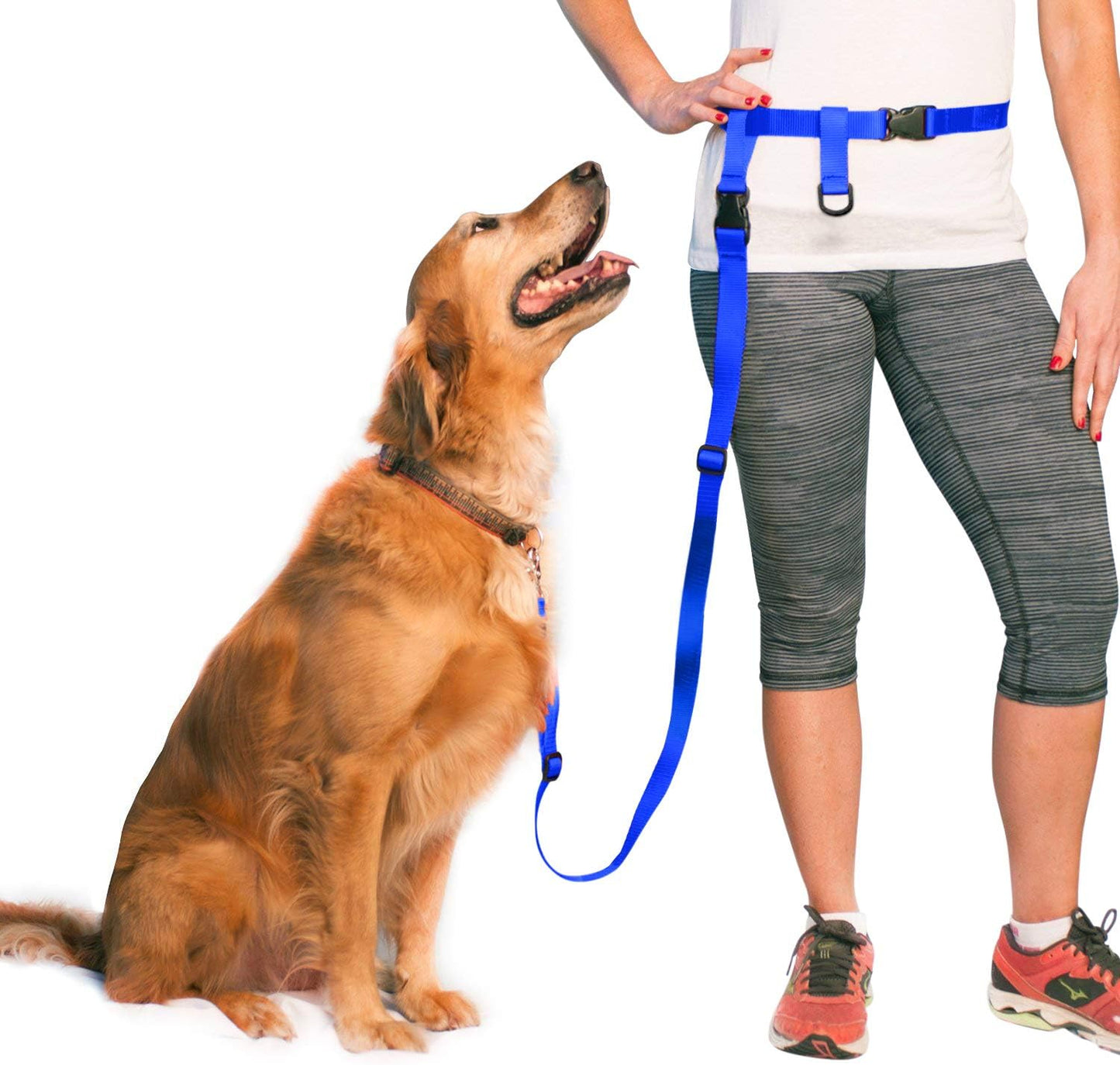 Adjustable Hands-Free Dog Leash for Running, Jogging, Training, and Service Dogs - Suitable for Small, Medium, and Large Breeds - Made in the USA (Royal Blue, Large Belt 27"-50" Waist)