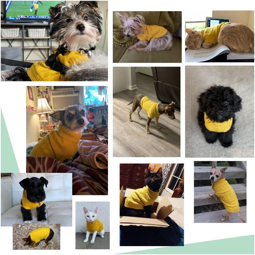 Knitted Winter Sweater for Small Dogs and Cats - Warm Yellow Sweatshirt for Puppies and Kittens