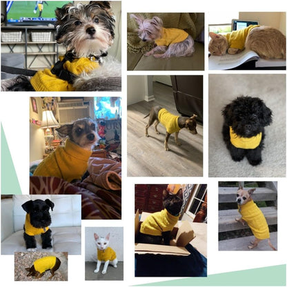 Knitted Winter Sweater for Small Dogs and Cats - Warm Yellow Sweatshirt for Puppies and Kittens