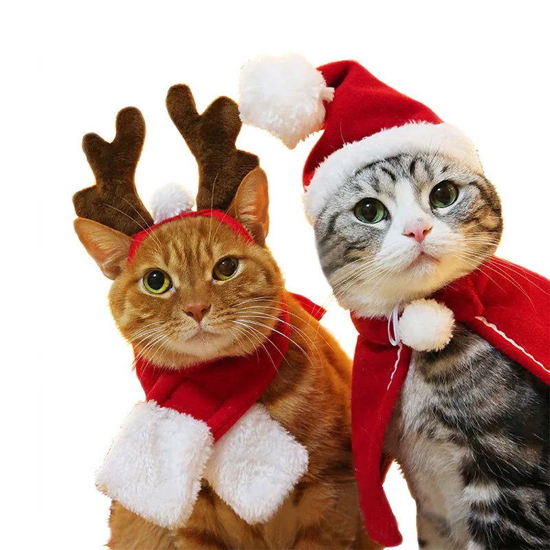 Festive Christmas and Halloween Pet Costume with Scarf for Cats and Dogs - Ideal for New Year and Winter Celebrations
