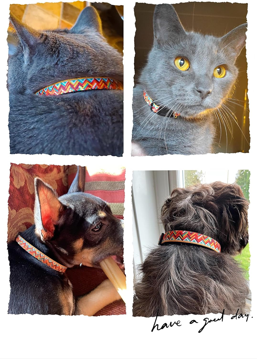 Machu Picchu Pet Supplies: Cat and Dog Collars, Leashes, and Harnesses in Various Sizes