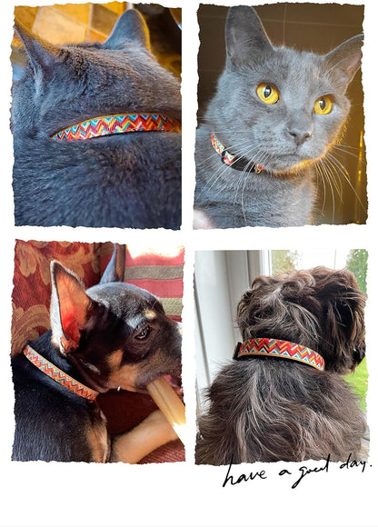 Machu Picchu Pet Supplies: Cat and Dog Collars, Leashes, and Harnesses in Various Sizes