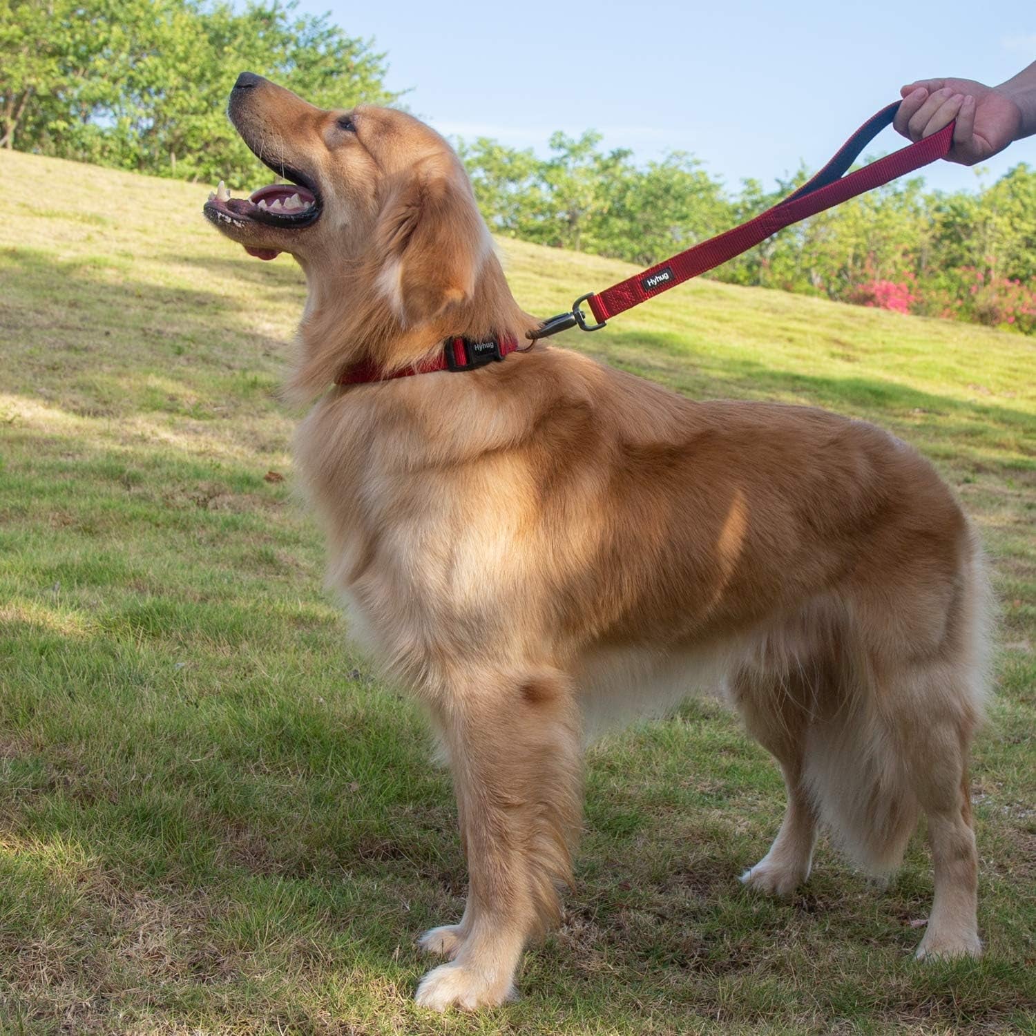 Traffic Nylon 18-Inch Short Leash with Soft Neoprene Padded Handle for Large and Giant Dogs - Ideal for Training and Daily Walks (Red)